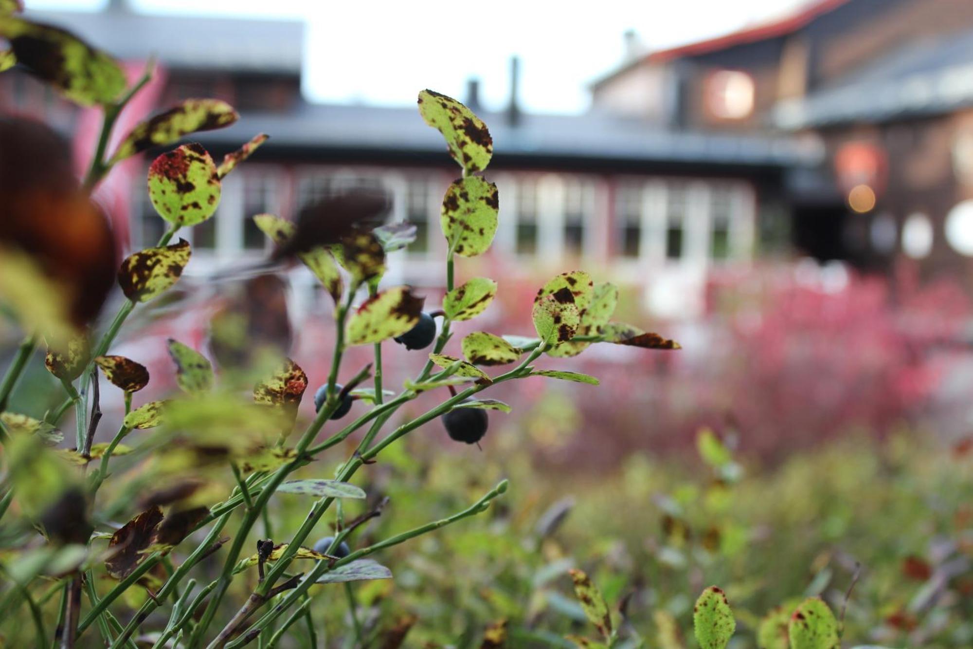 Olarsgarden Hotell 린트발렌 외부 사진